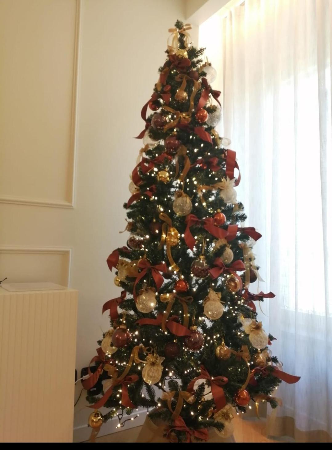 Suite Moroni Apartment Bergamo Zewnętrze zdjęcie